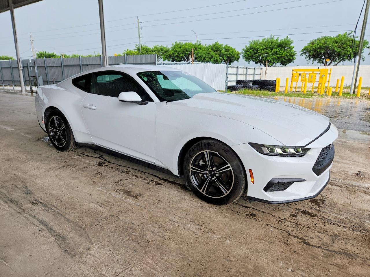 2025 Ford Mustang - zdjęcie 4