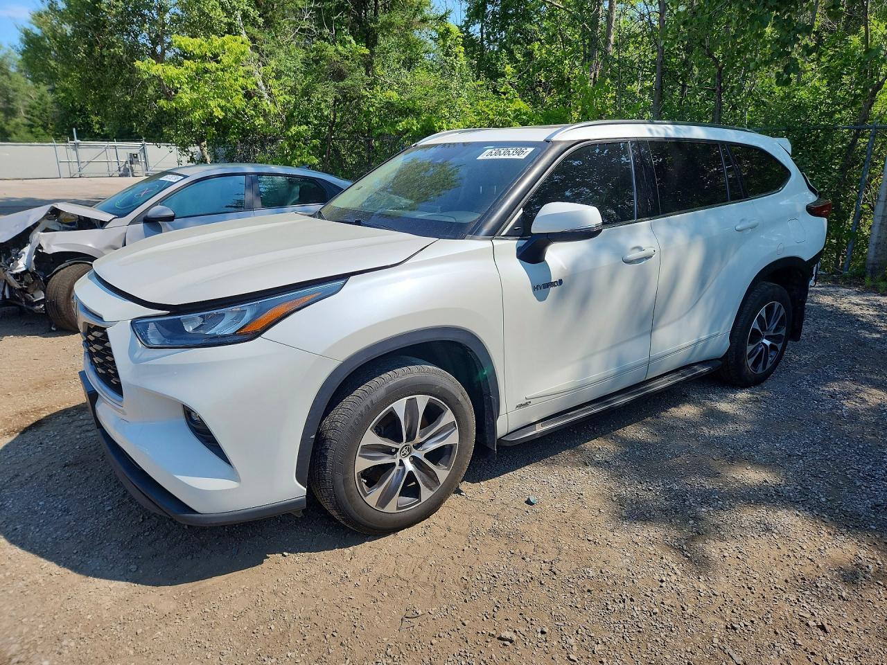 2020 Toyota Highlander Hybrid Xle - zdjęcie główne