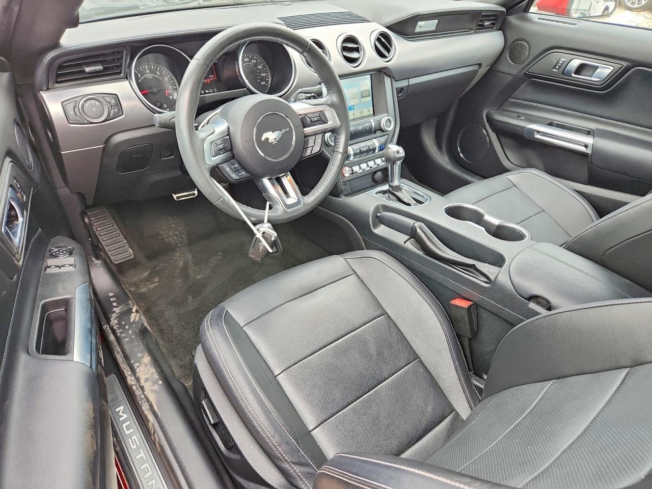 2018 Ford Mustang Gt - zdjęcie 8