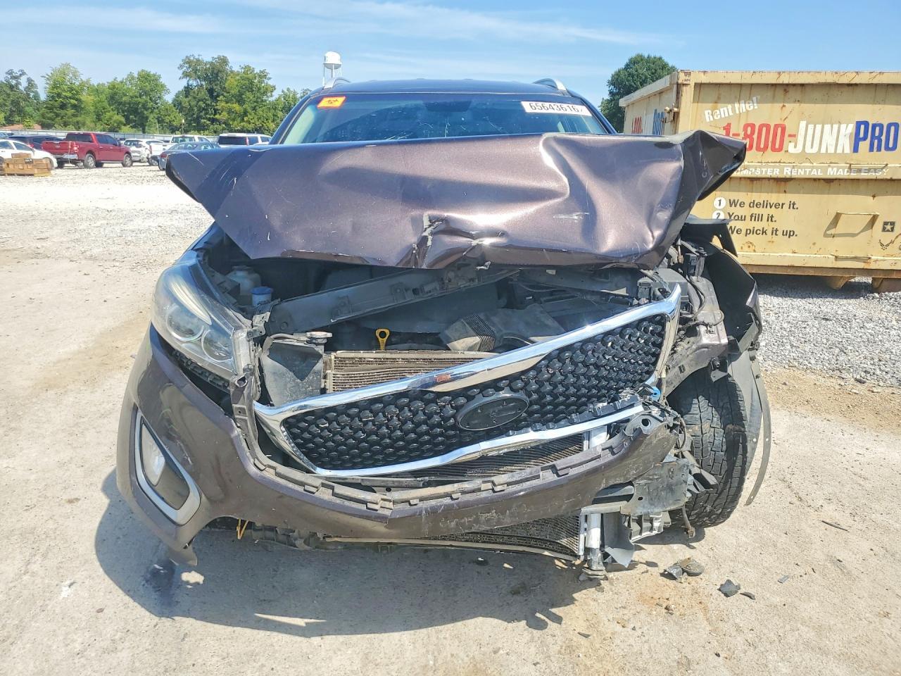 2017 Kia Sorento Ex - zdjęcie 5