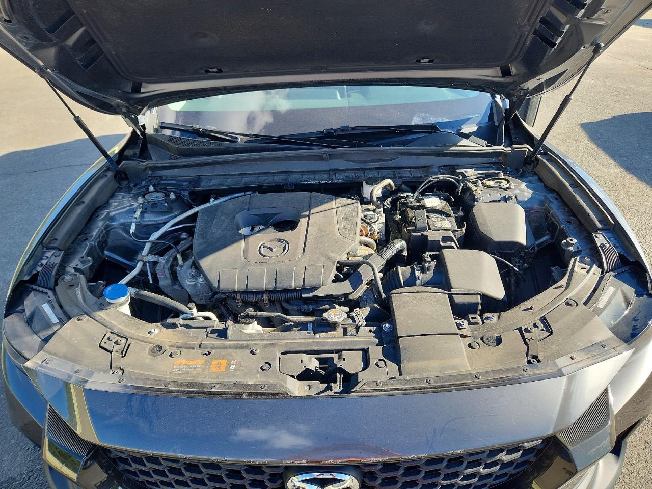 2025 Mazda Cx-50 Preferred - zdjęcie 12