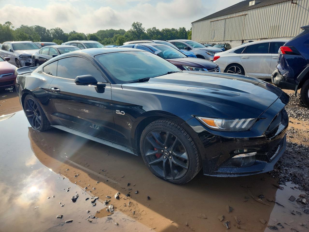 2015 Ford Mustang Gt - zdjęcie 4