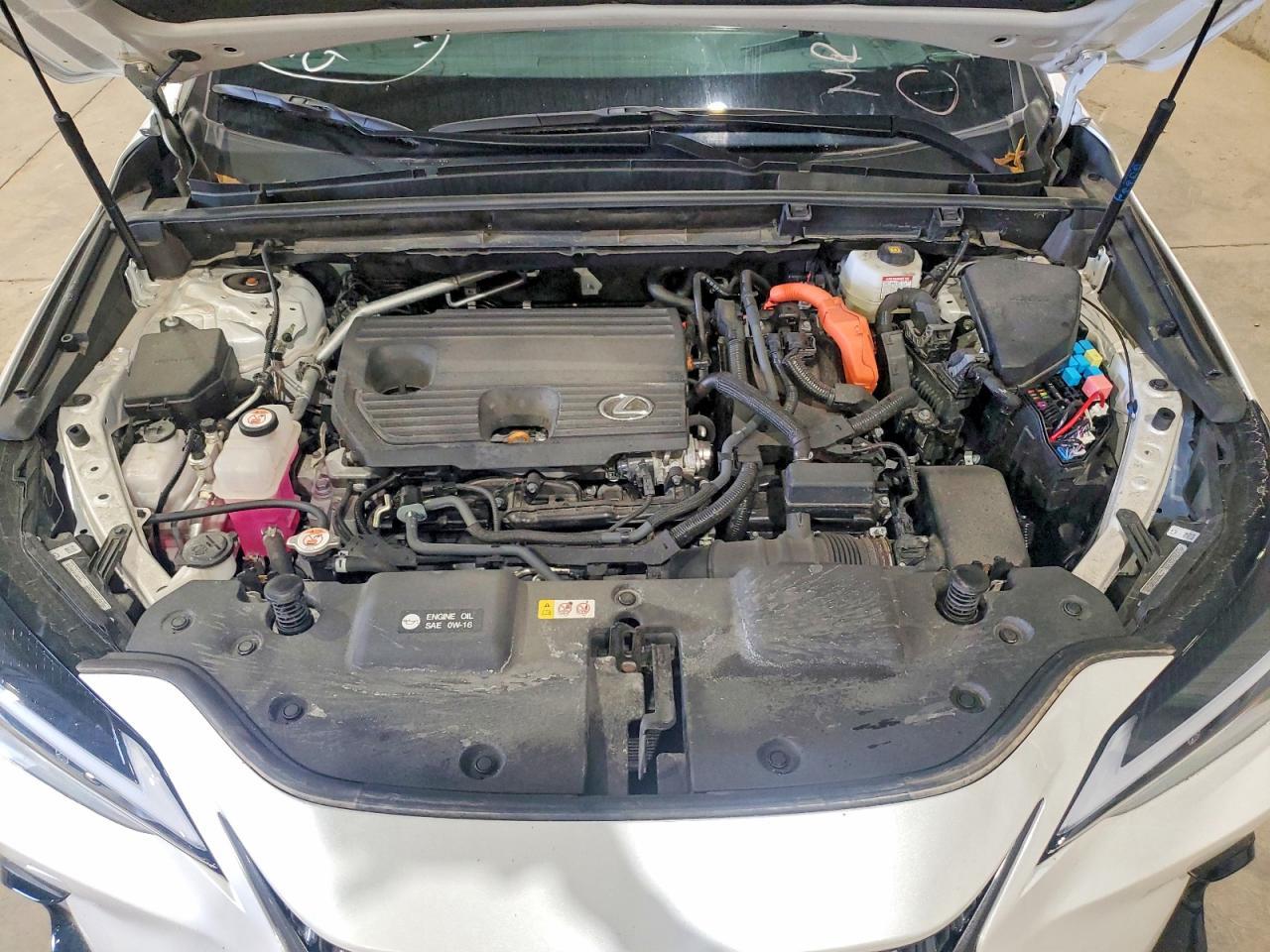 2025 Lexus Nx 350H Base - zdjęcie 11