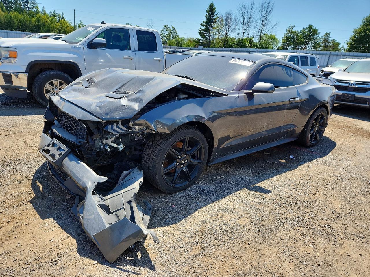 2019 Ford Mustang - zdjęcie główne