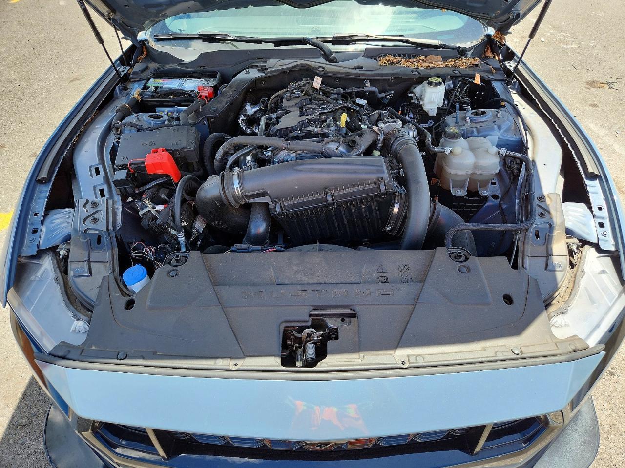 2024 Ford Mustang - zdjęcie 11