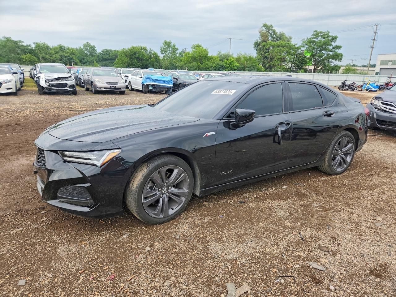 2023 Acura Tlx A-Spec - zdjęcie główne