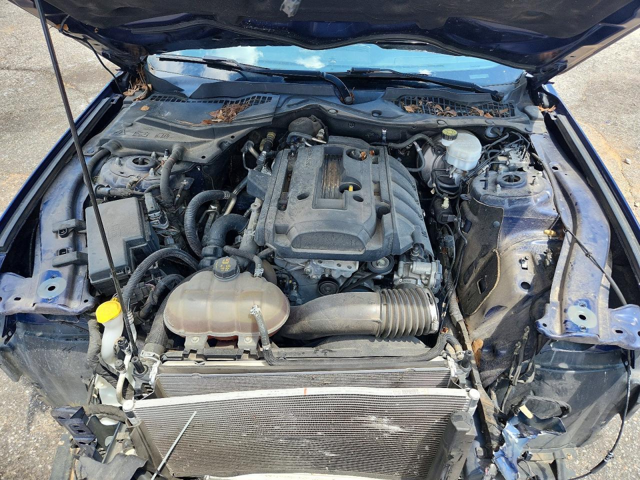 2019 Ford Mustang - zdjęcie 11