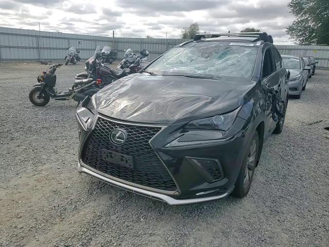 2020 Lexus Nx 300 F Sport - zdjęcie 14