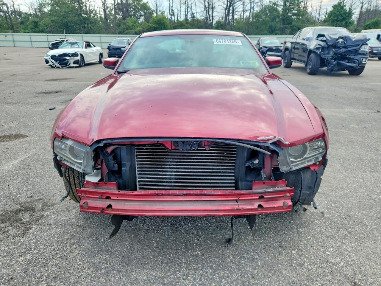 2014 Ford Mustang - zdjęcie 5