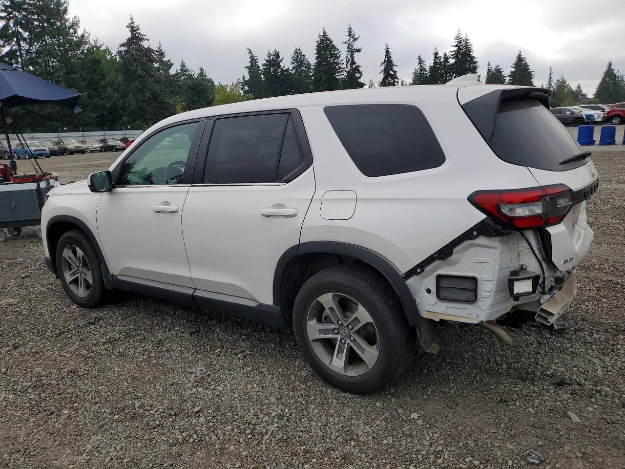 2023 Honda Pilot Exl - zdjęcie 2