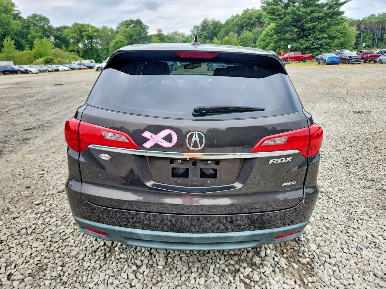 2014 Acura Rdx - zdjęcie 6
