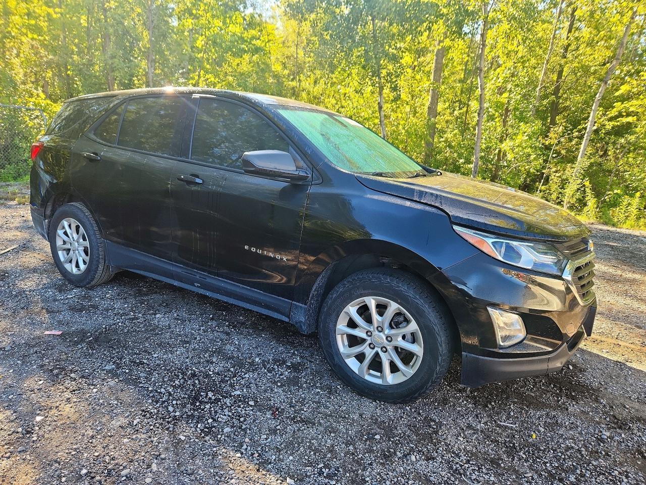 2018 Chevrolet Equinox Ls - zdjęcie 4