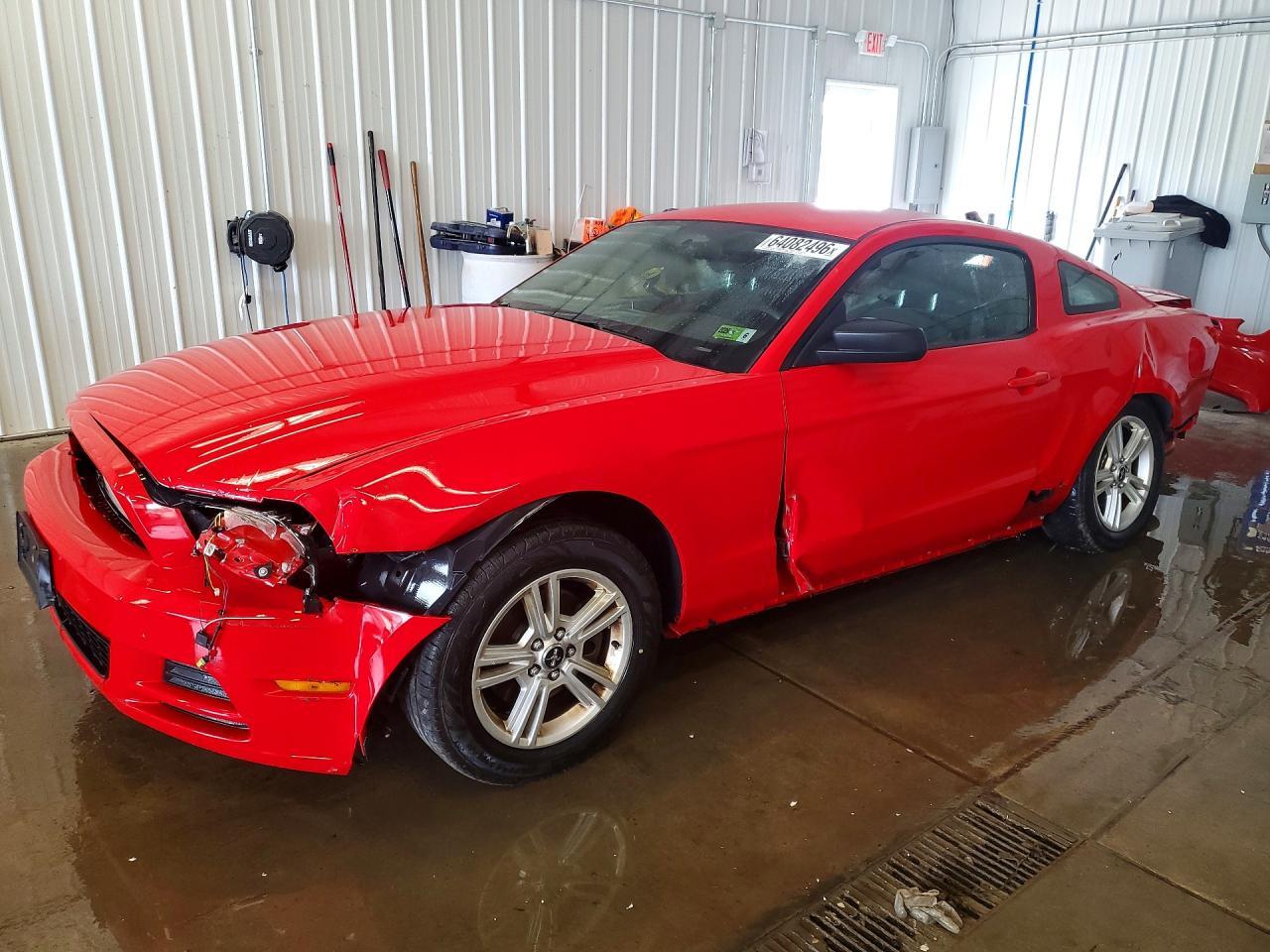 2013 Ford Mustang - zdjęcie główne