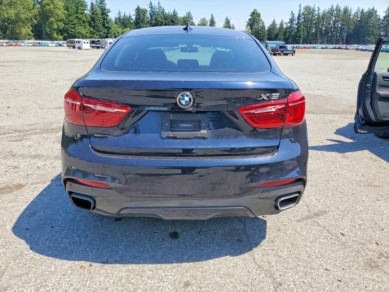 2017 BMW X6 xDrive35I - zdjęcie 6