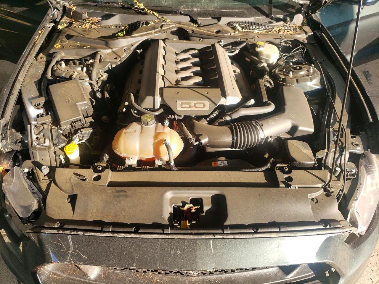 2015 Ford Mustang Gt - zdjęcie 11