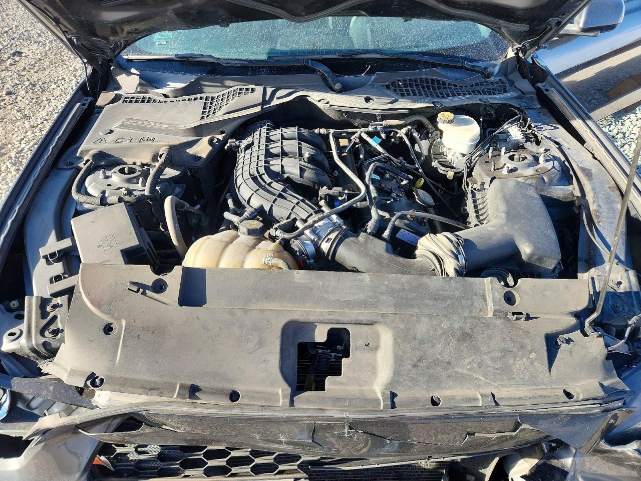 2015 Ford Mustang - zdjęcie 11