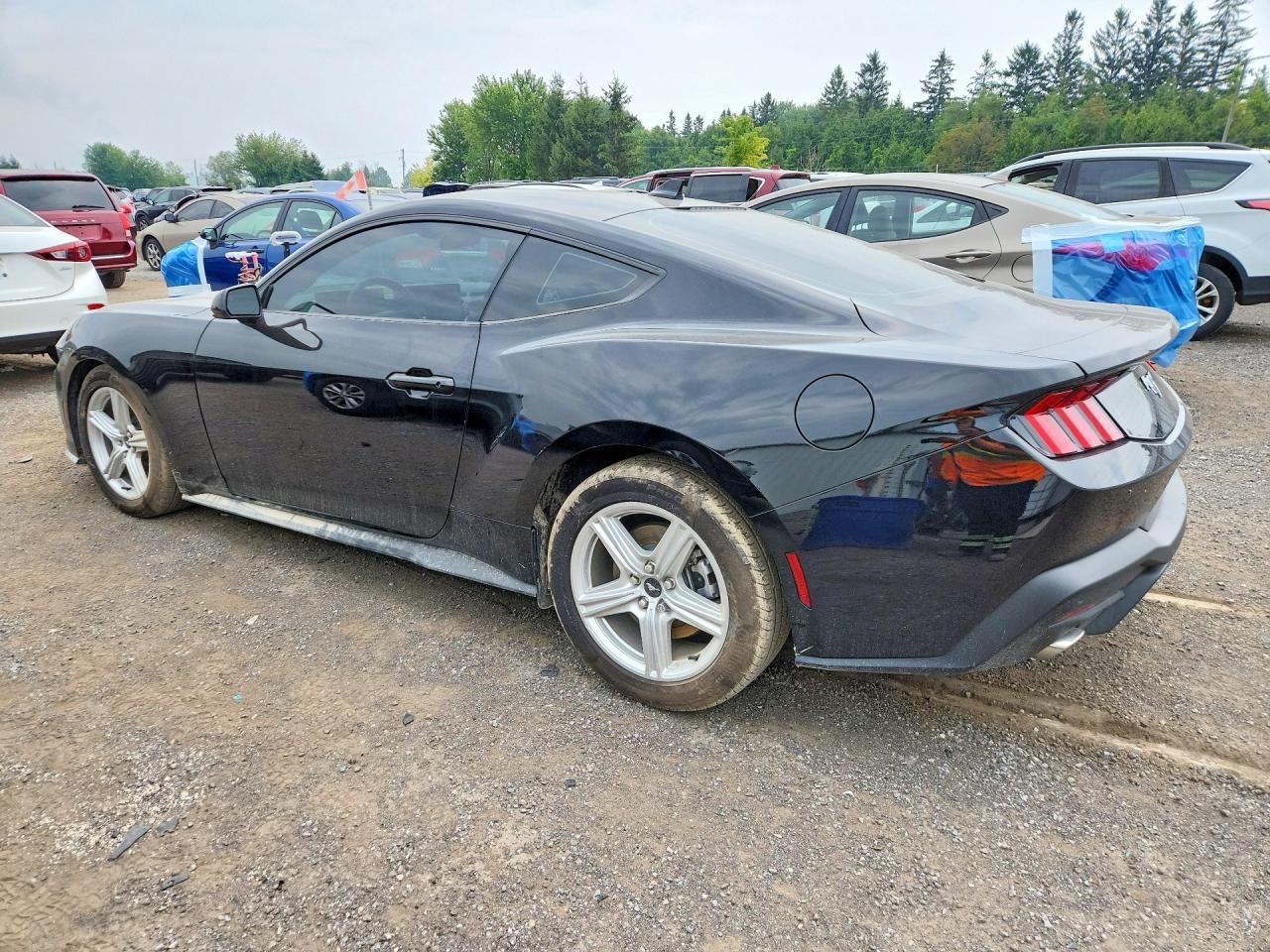 2026 Ford Mustang - zdjęcie 2
