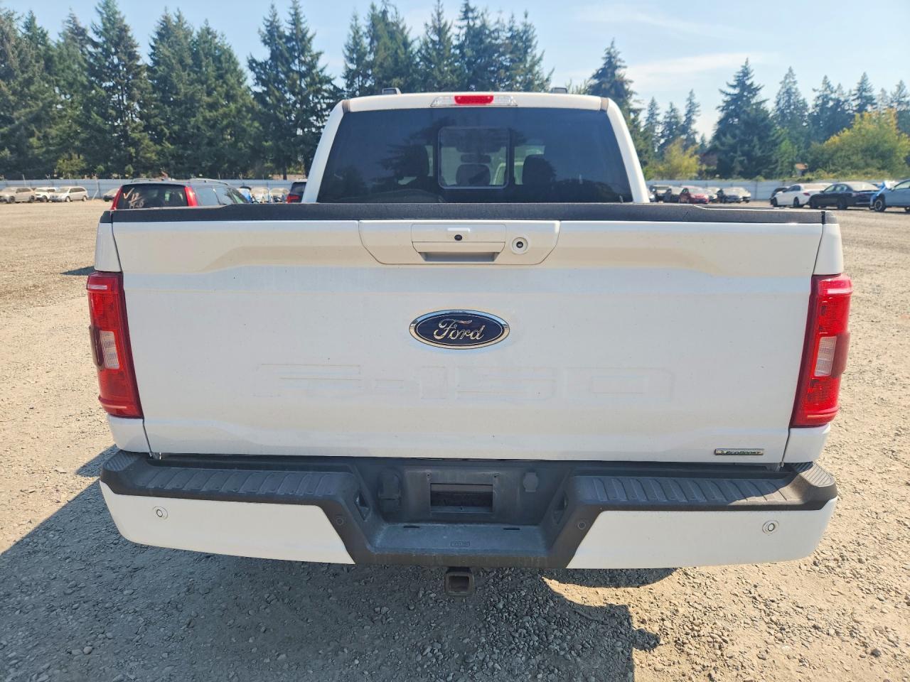 2023 Ford F150 Supercrew - zdjęcie 6