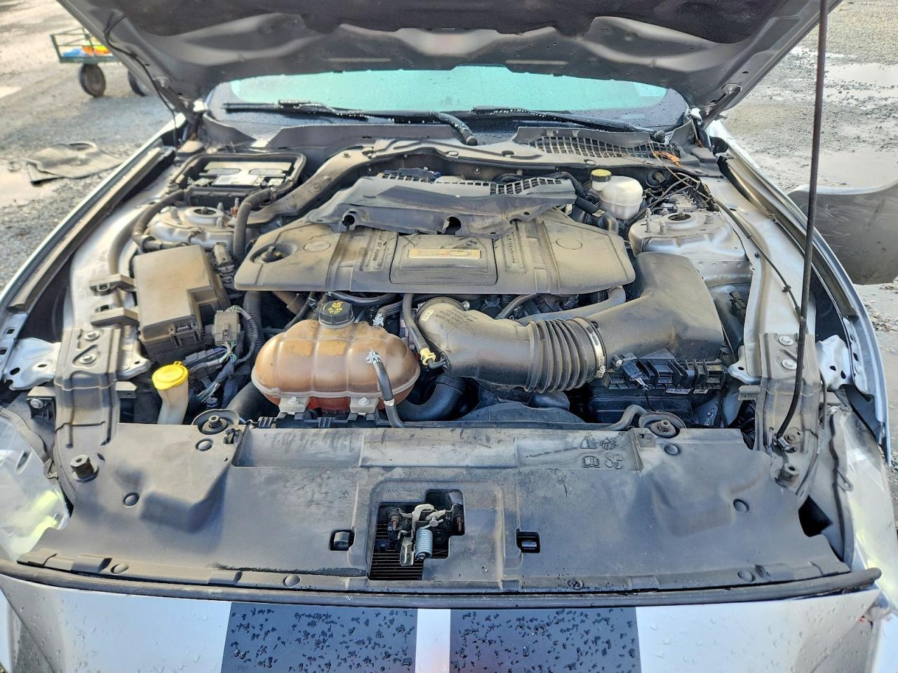 2021 Ford Mustang Gt - zdjęcie 11