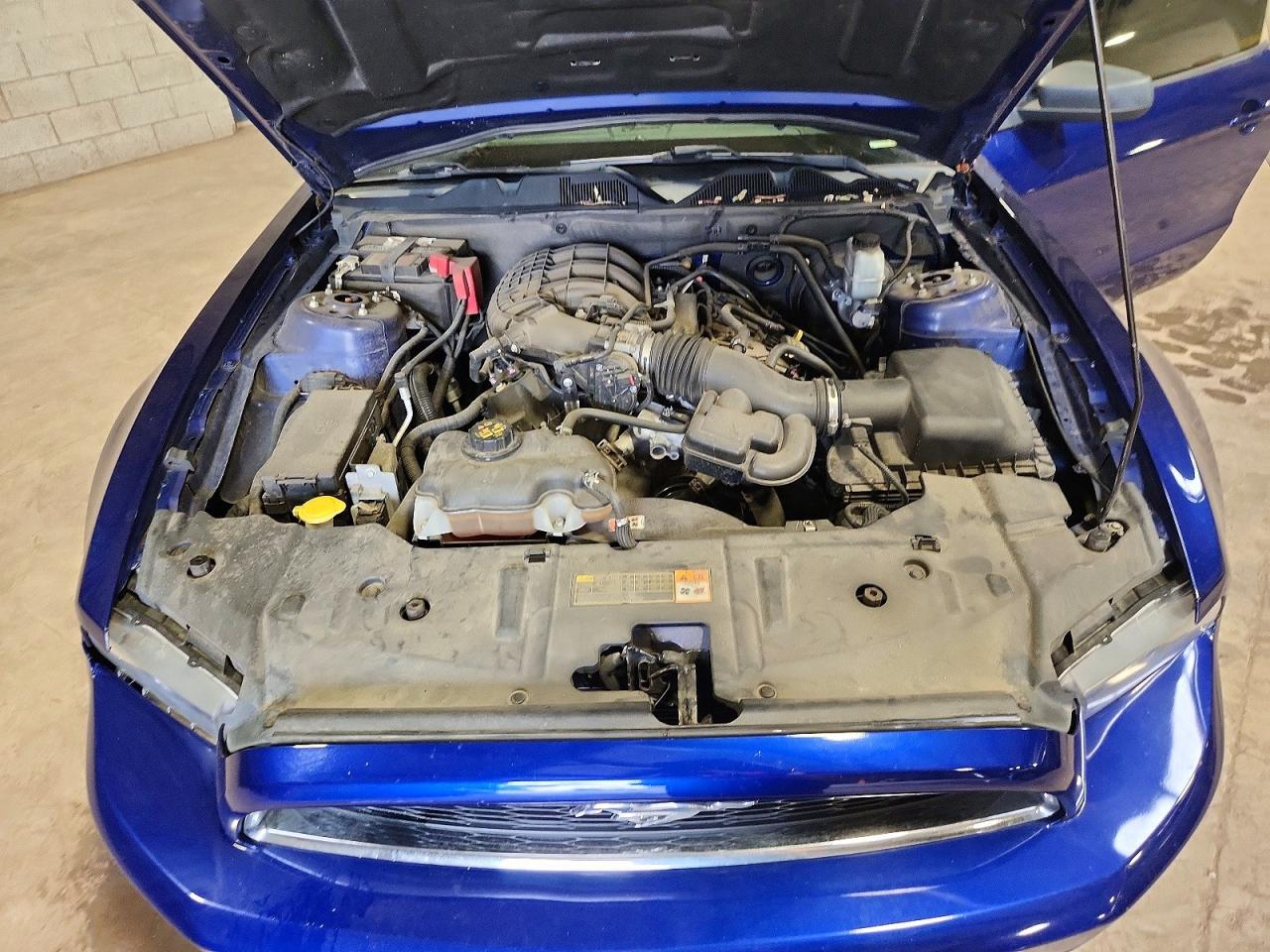 2014 Ford Mustang - zdjęcie 11