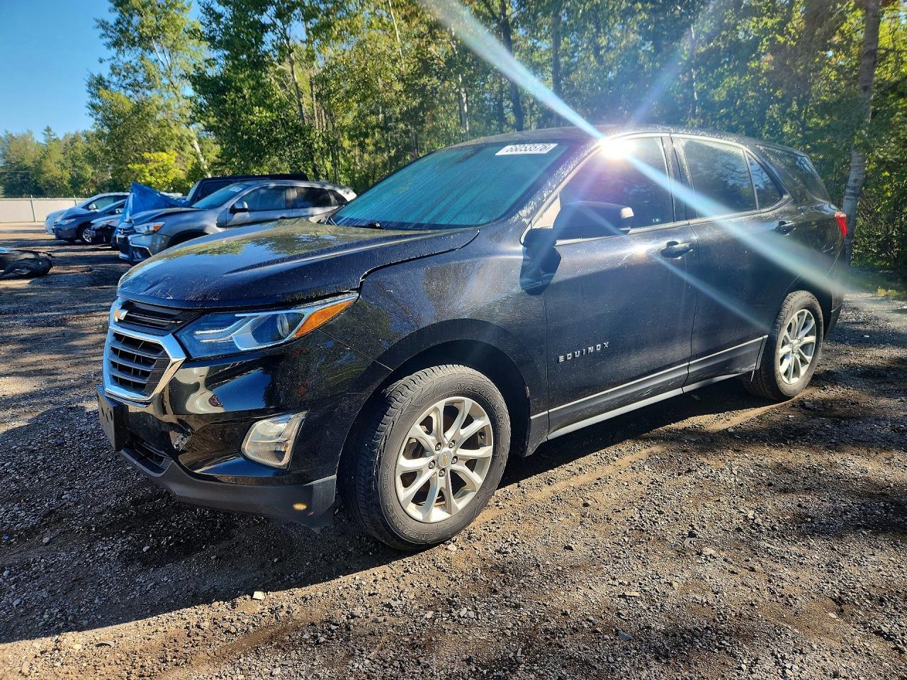 2018 Chevrolet Equinox Ls - zdjęcie główne