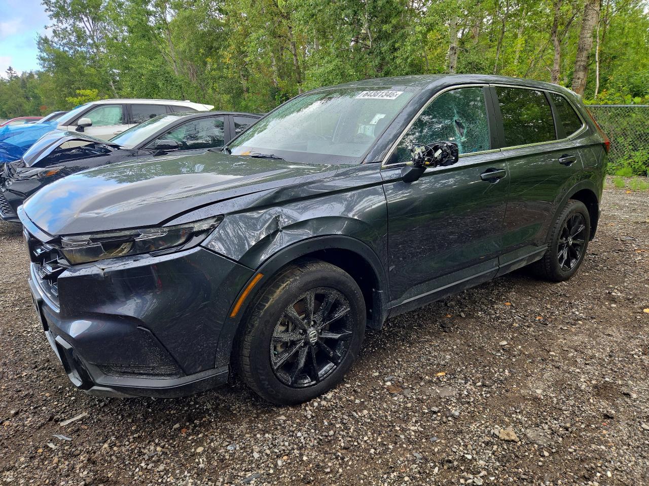 2025 Honda Cr-V Exl - zdjęcie główne