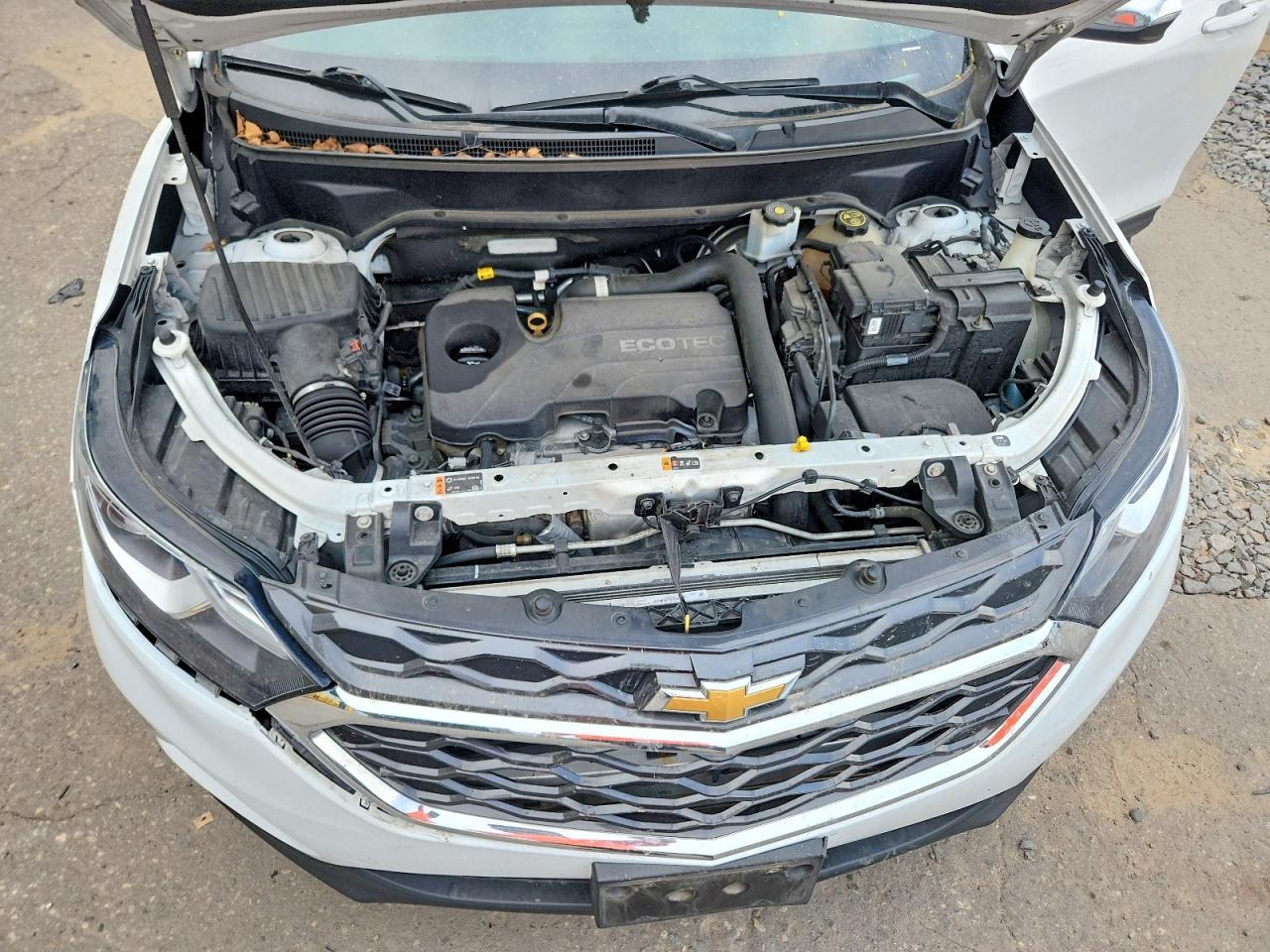 2019 Chevrolet Equinox Lt - zdjęcie 12
