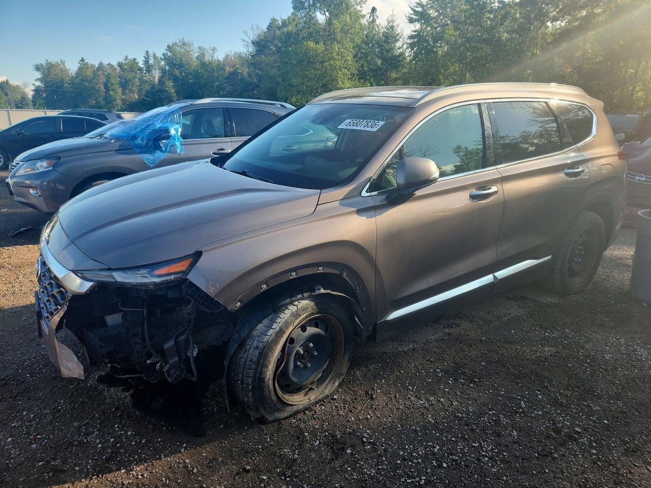 2019 Hyundai Santa Fe Limited 2.0T - zdjęcie główne