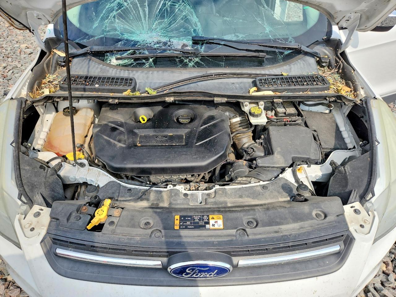 2015 Ford Escape Se - zdjęcie 12