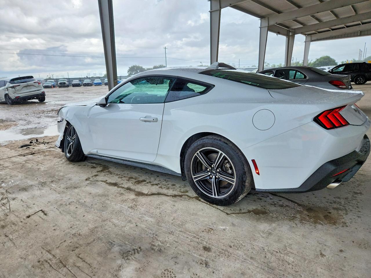 2025 Ford Mustang - zdjęcie 2