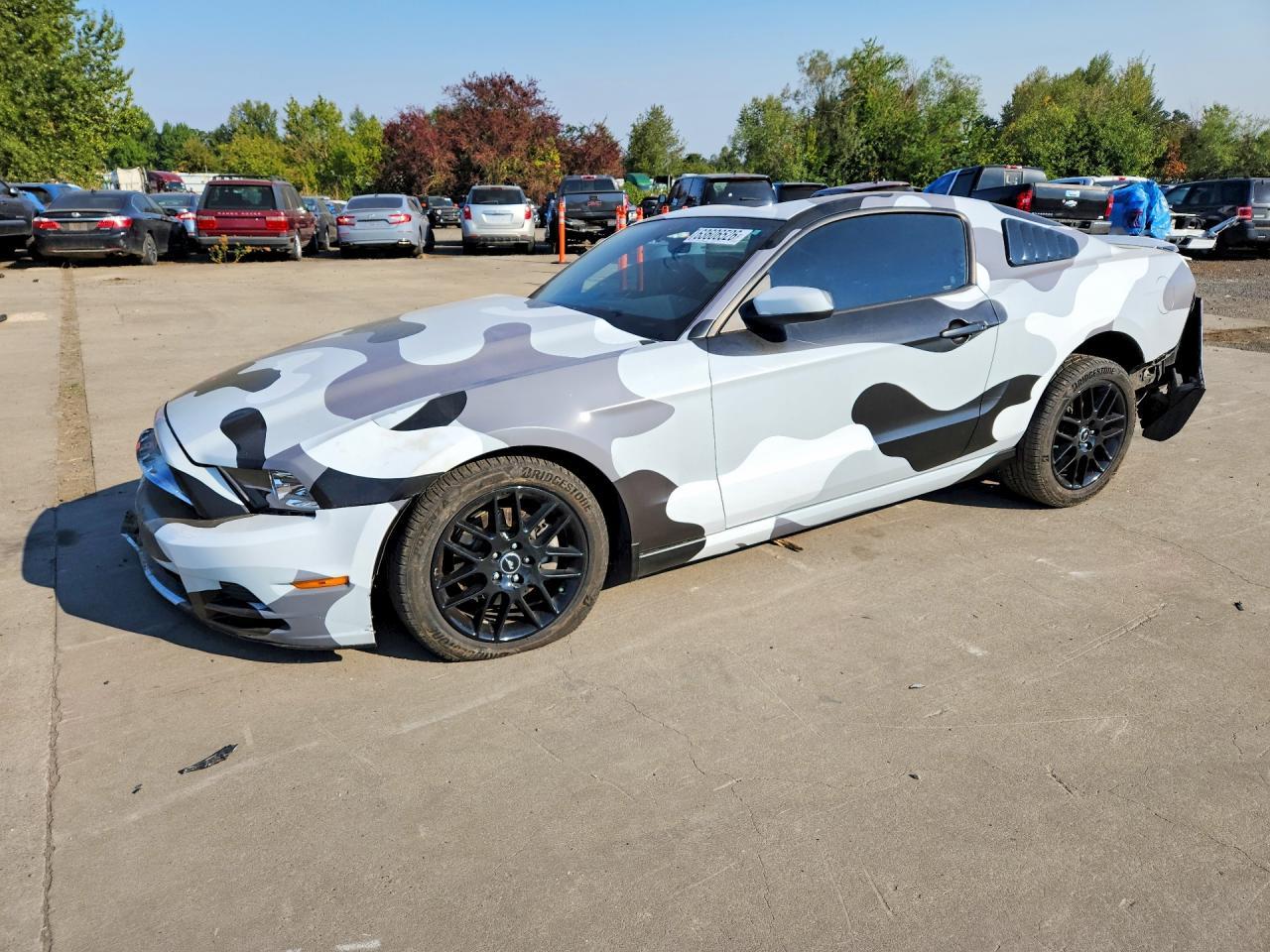 2014 Ford Mustang - zdjęcie główne