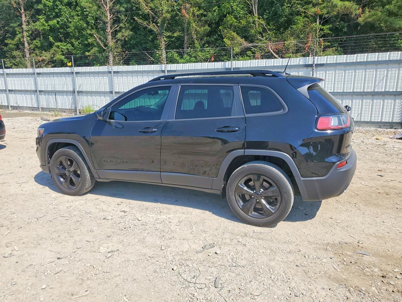 2019 Jeep Cherokee Latitude Plus - zdjęcie 2