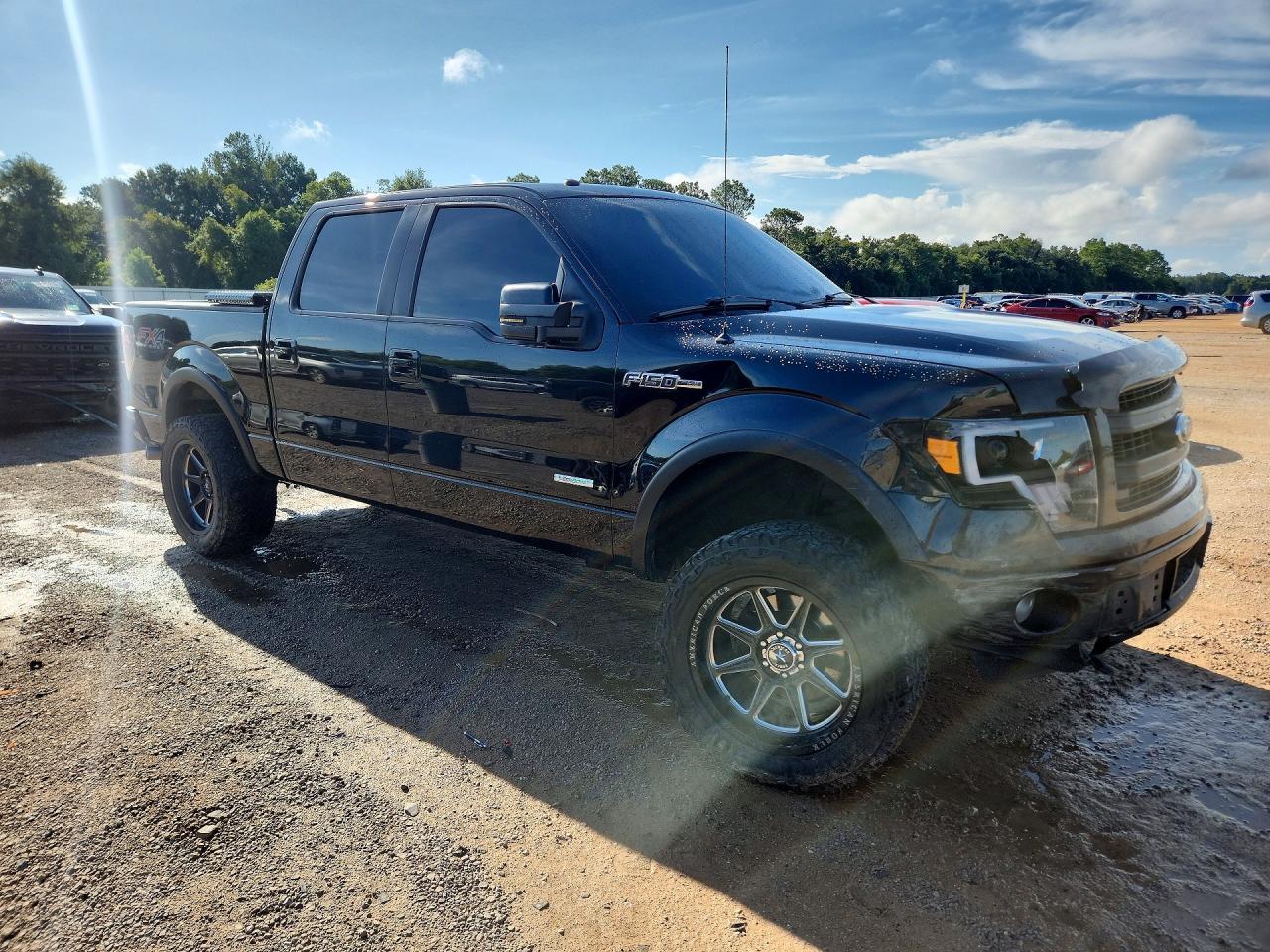 2014 Ford F150 Supercrew - zdjęcie 4