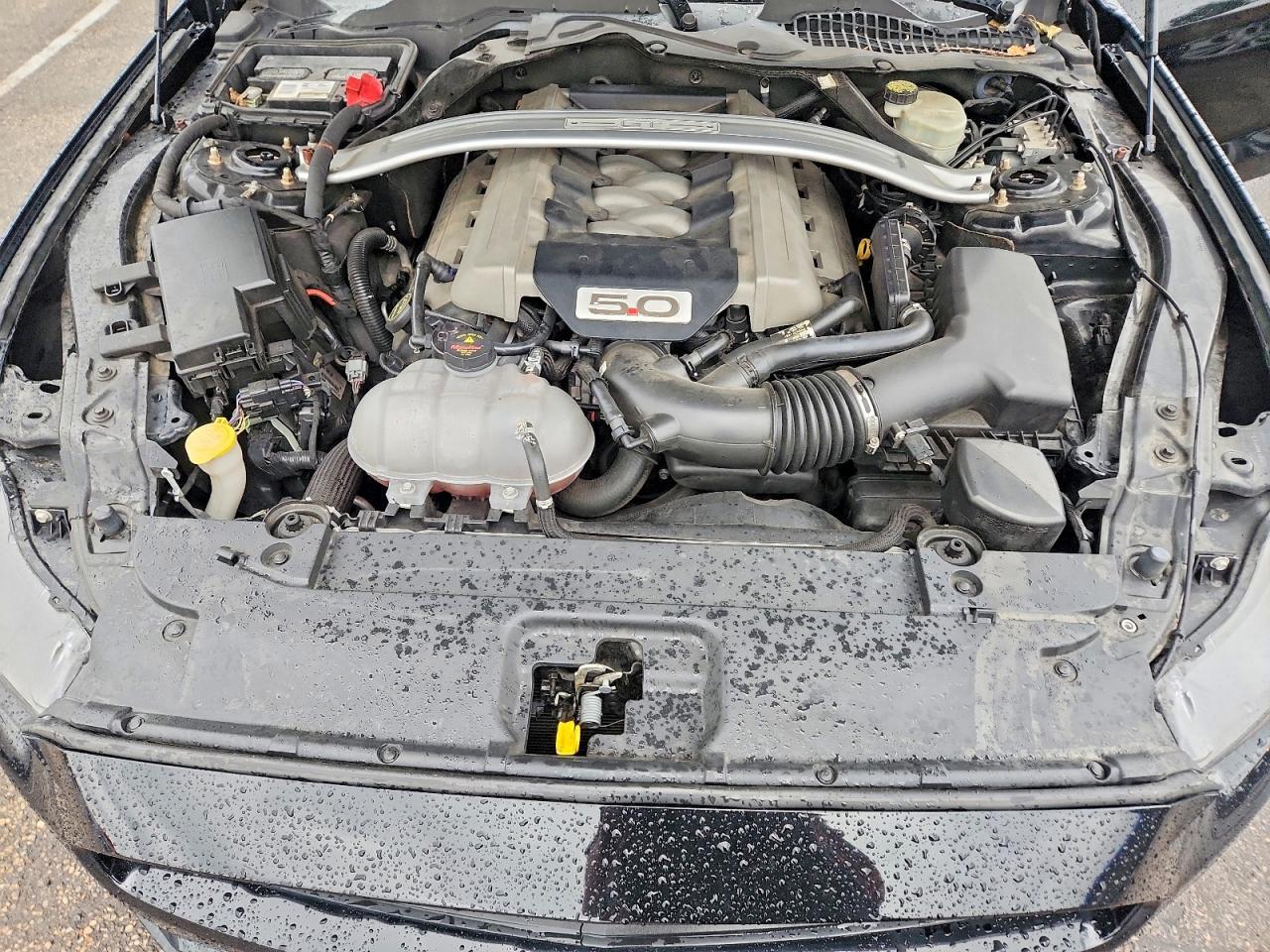 2016 Ford Mustang Gt - zdjęcie 11