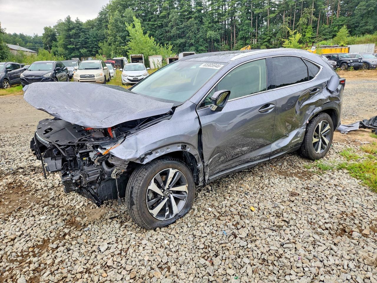 2020 Lexus Nx 300H - zdjęcie główne