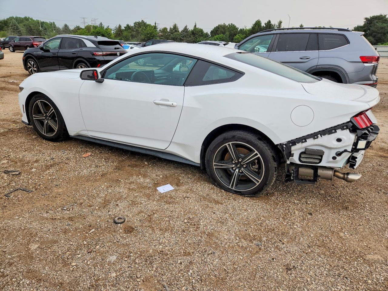 2024 Ford Mustang - zdjęcie 2