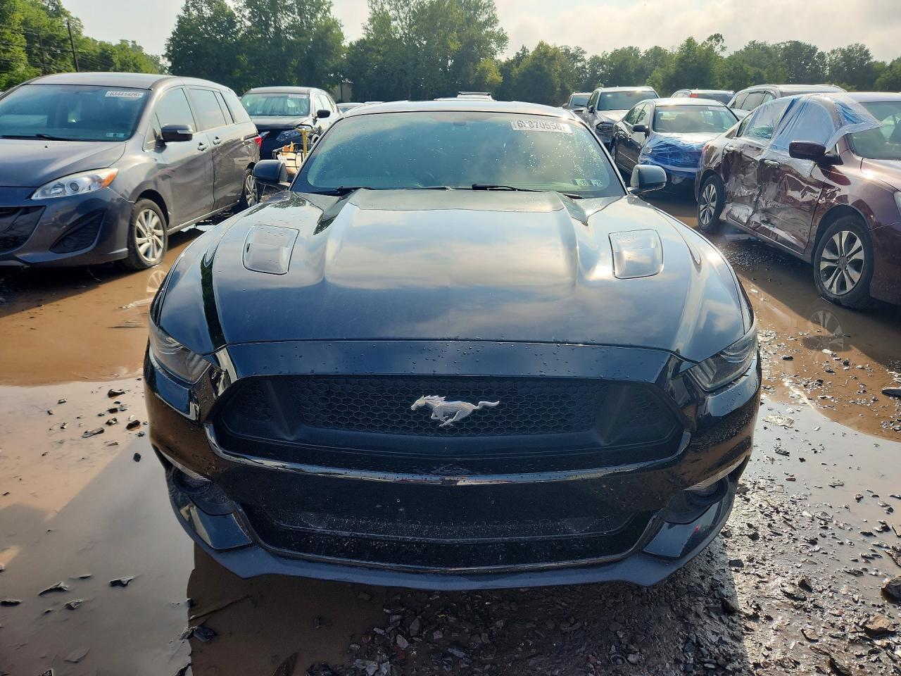 2015 Ford Mustang Gt - zdjęcie 5
