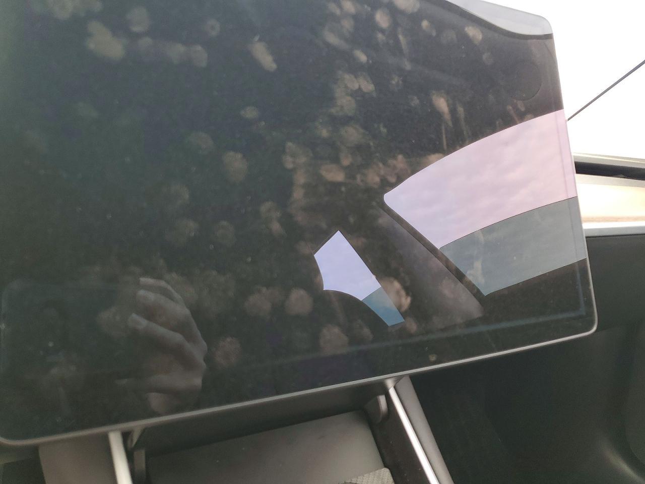 2019 Tesla Model 3 - zdjęcie 9