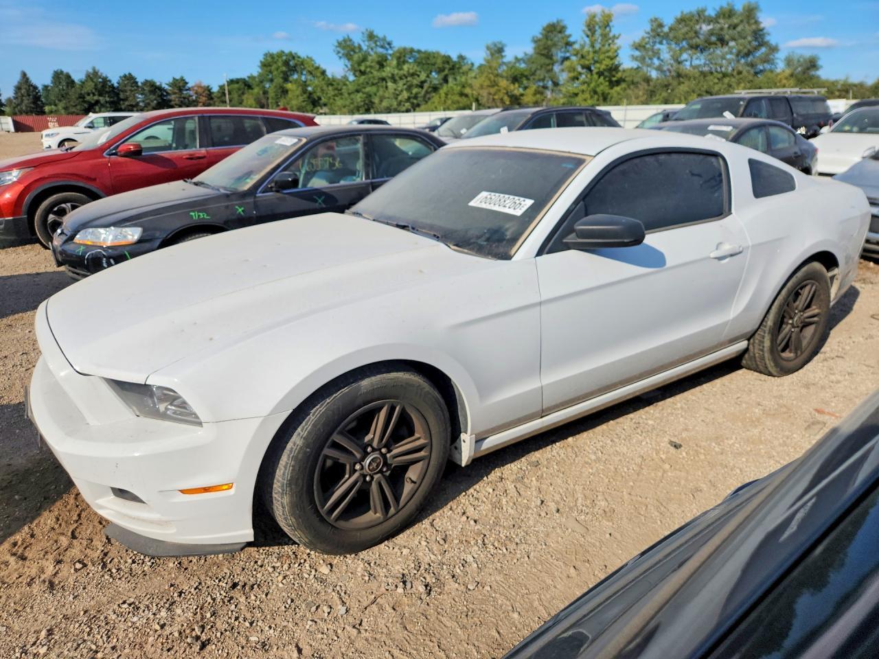 2014 Ford Mustang - zdjęcie główne
