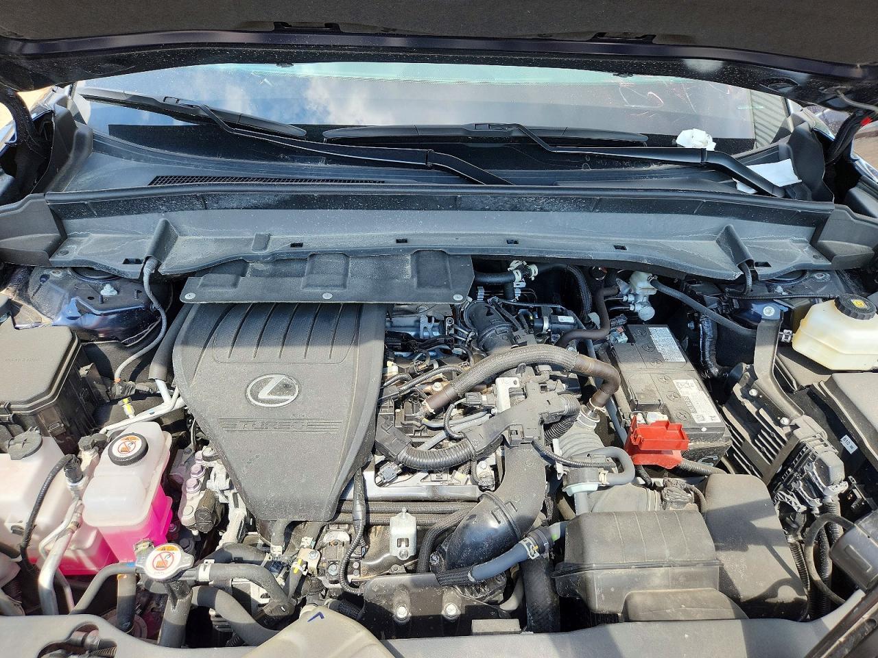 2024 Lexus Tx 350 Luxury - zdjęcie 11