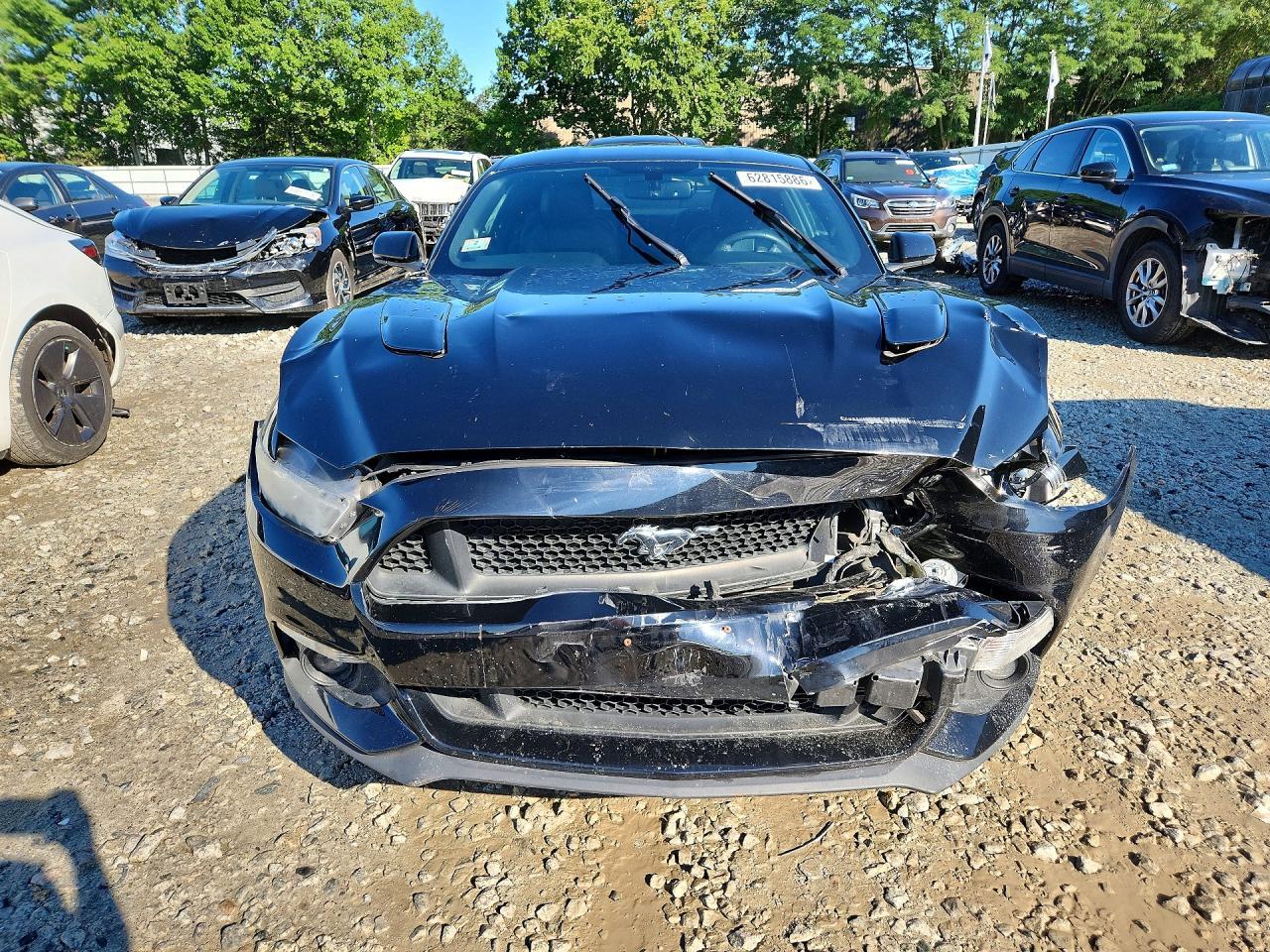 2016 Ford Mustang Gt - zdjęcie 5