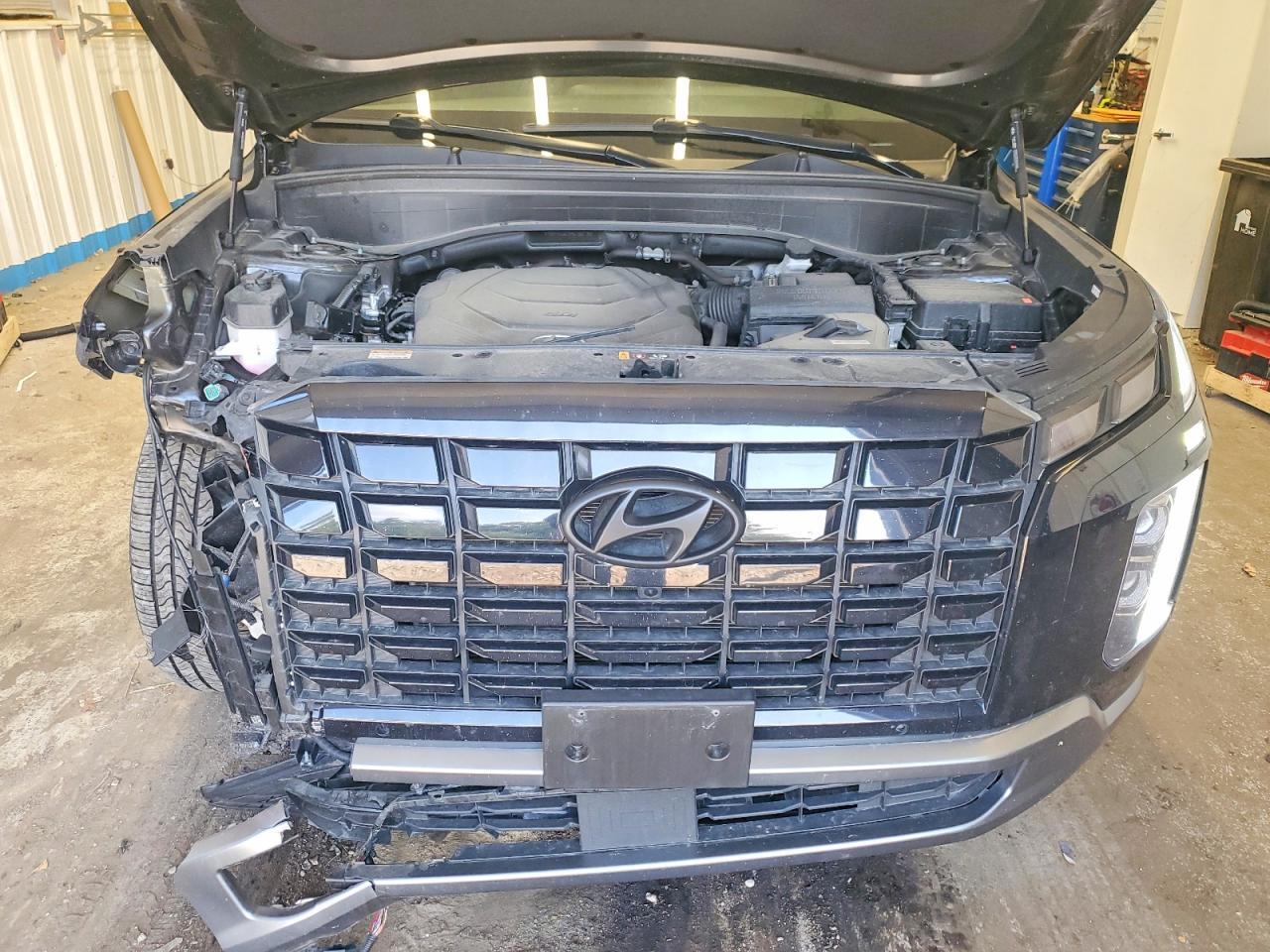 2024 Hyundai Palisade Sel Premium - zdjęcie 12