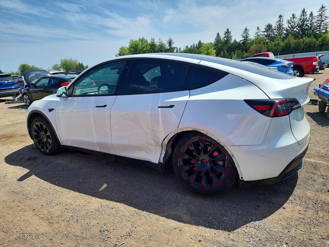 2023 Tesla Model Y - zdjęcie 2