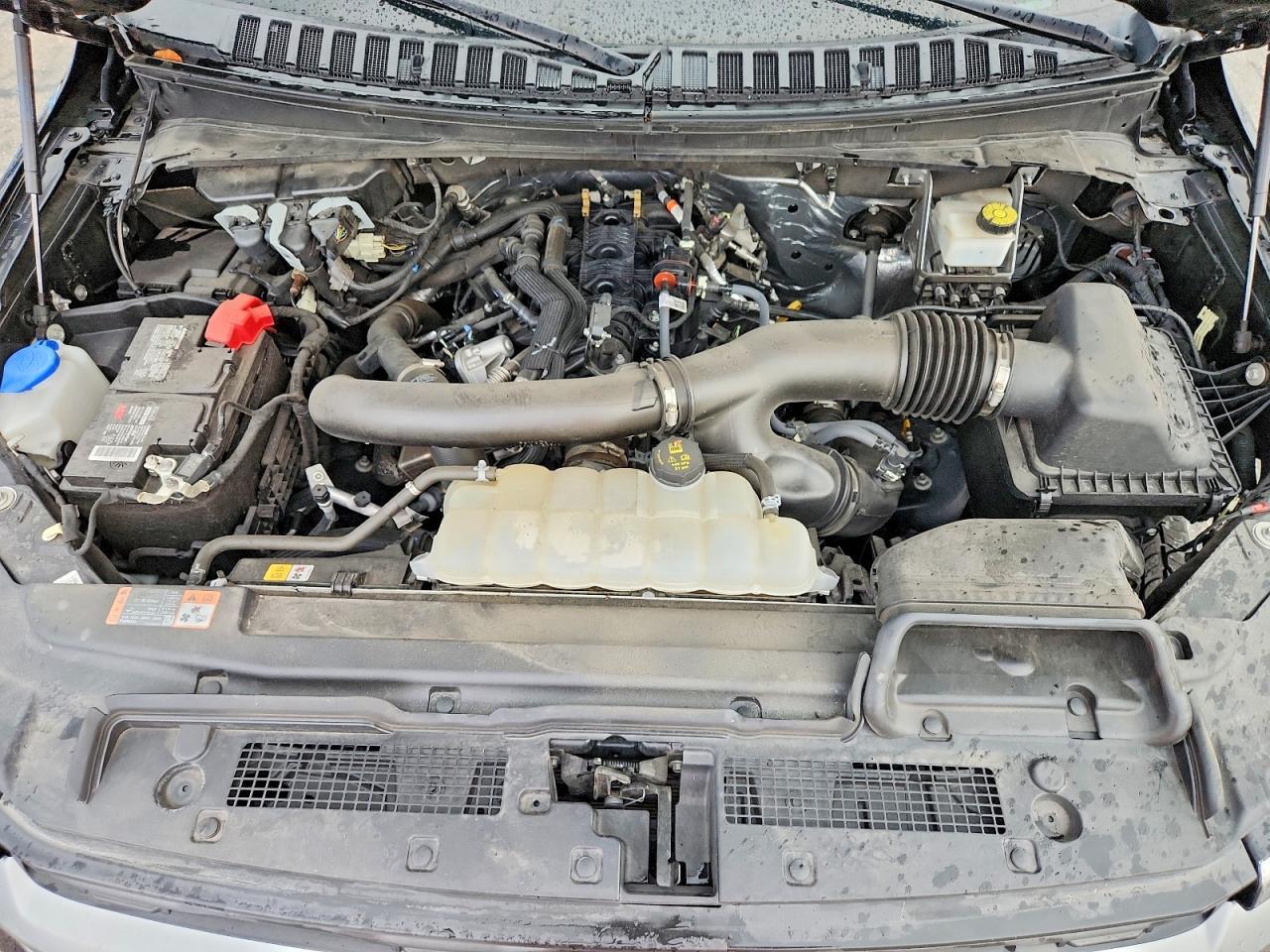 2024 Ford Expedition Xlt - zdjęcie 12