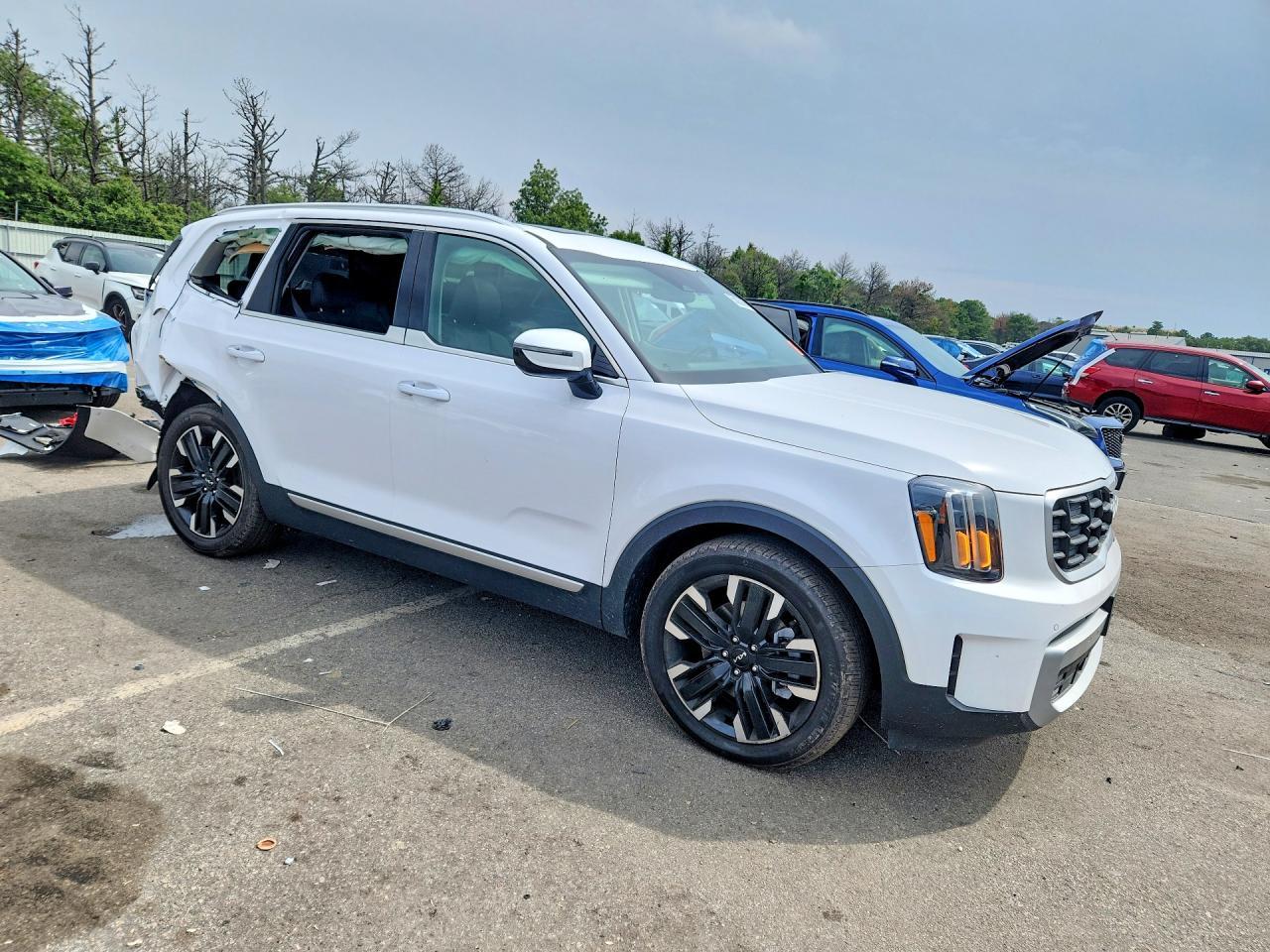 2024 Kia Telluride Sx - zdjęcie 4