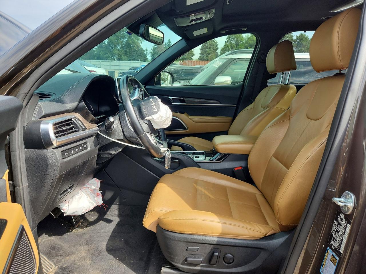 2022 Kia Telluride Sx - zdjęcie 7
