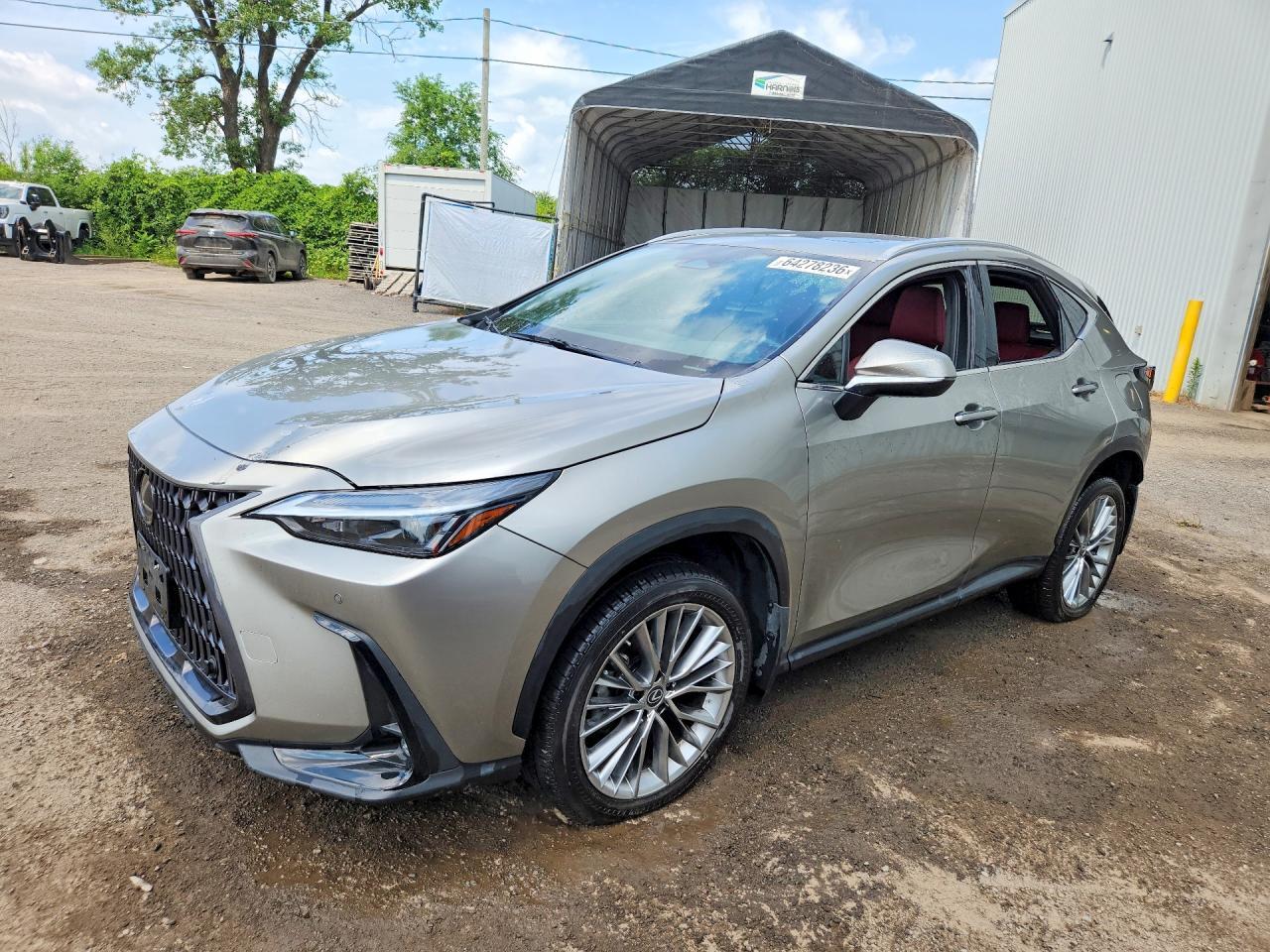 2022 Lexus Nx 350 - zdjęcie główne
