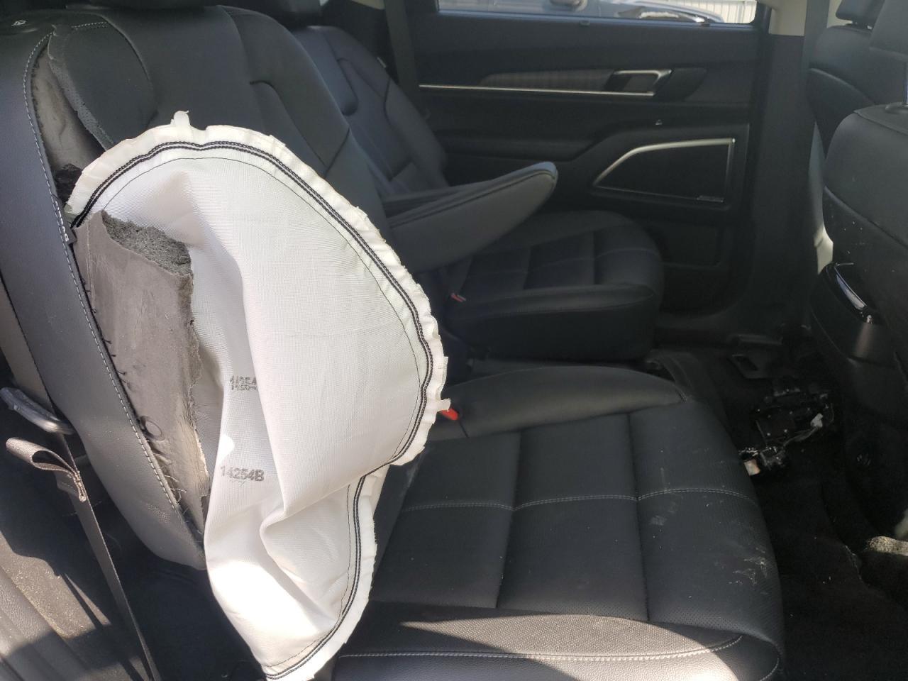 2024 Kia Telluride Sx - zdjęcie 11