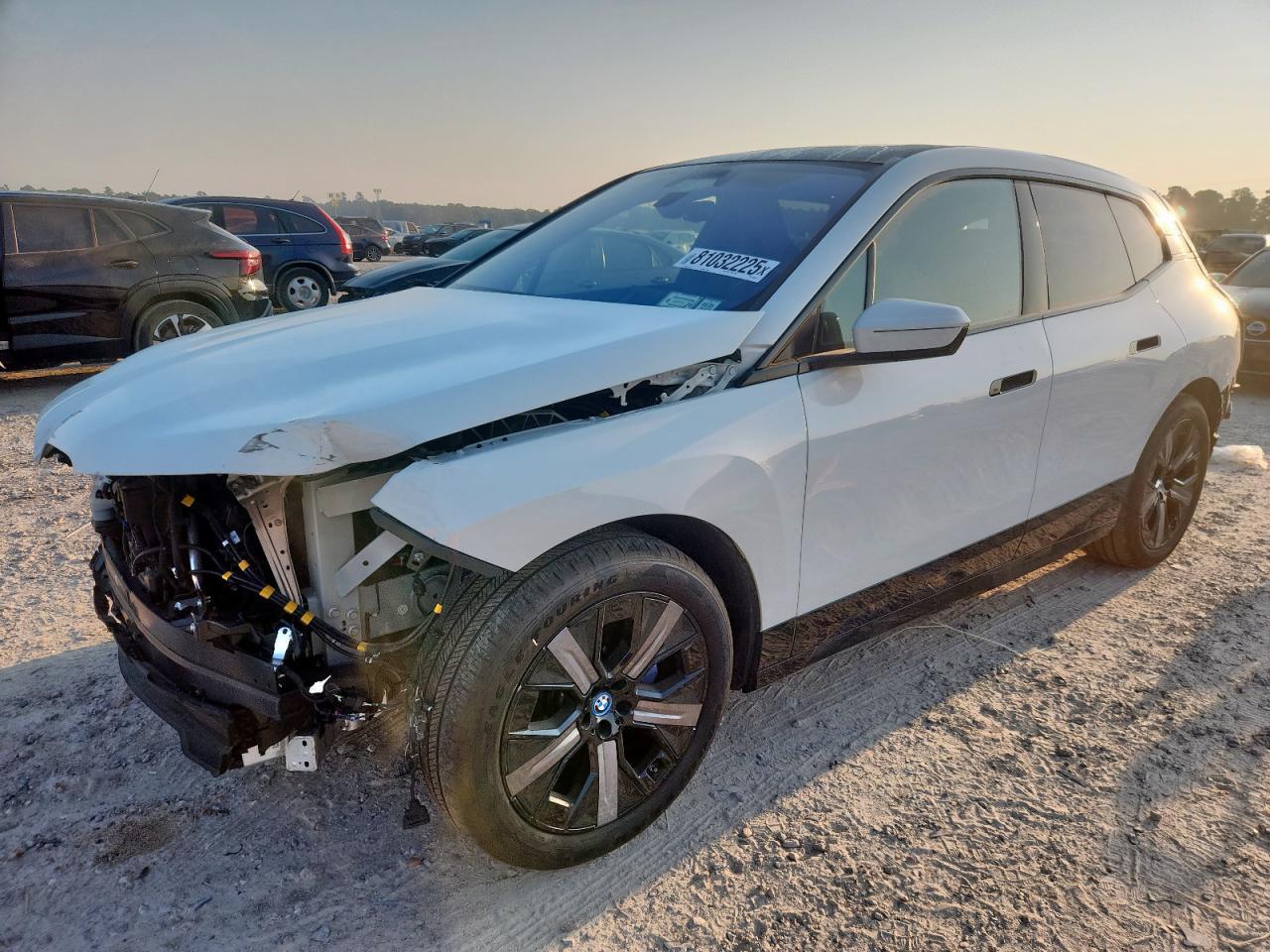 2025 BMW iX