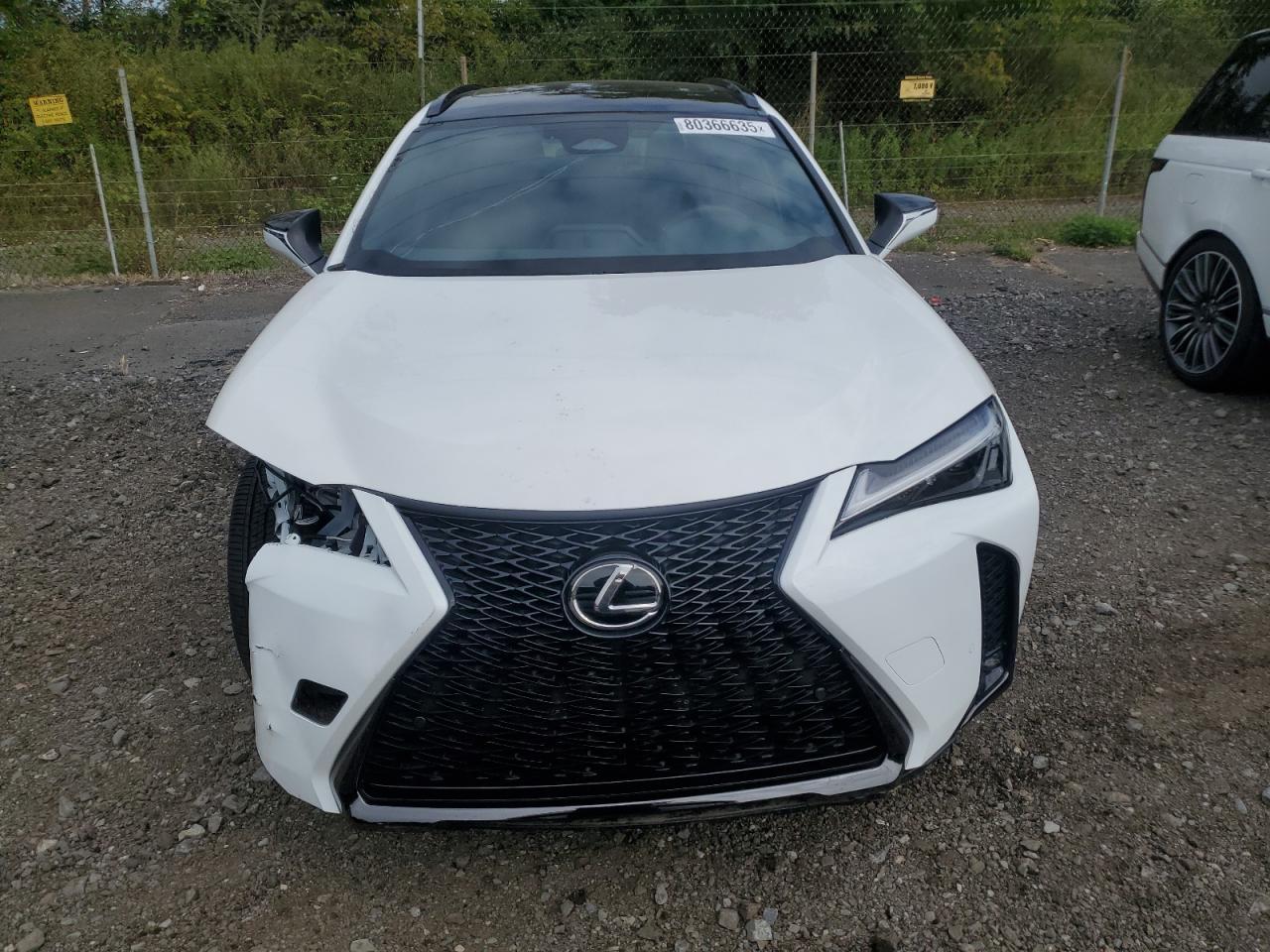 2025 Lexus Ux 300H Base - zdjęcie 5